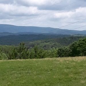 Meet your Posher, Alfred